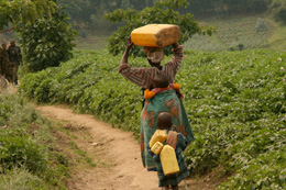 sidebar-water-image2