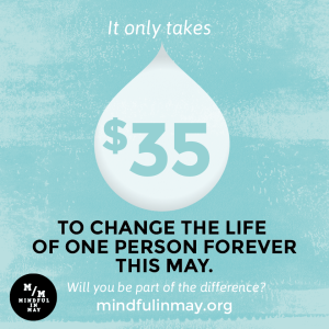 Mindful In May 5 Ways to Raise $100 