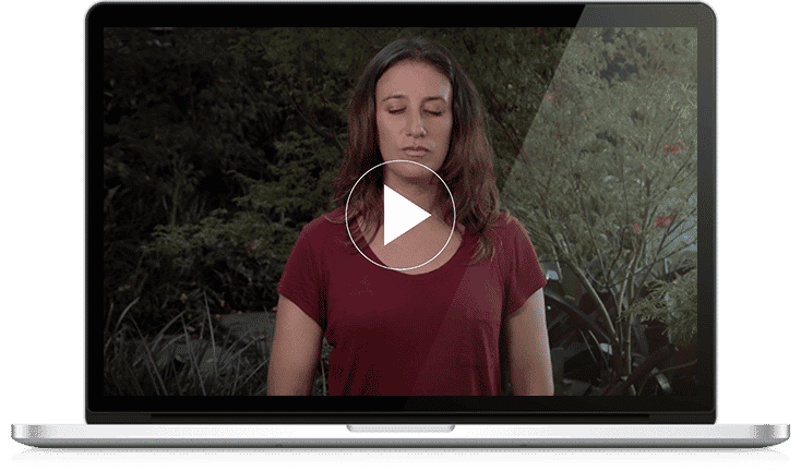 taster-meditation taster-meditation
