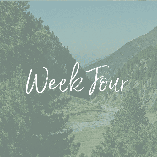 weekfour2