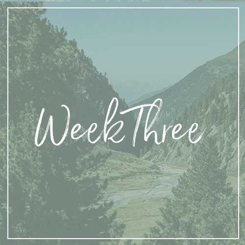 weekthree2