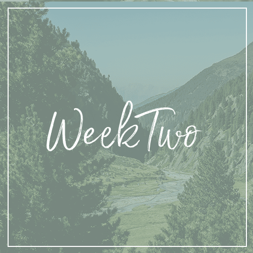 weektwo2