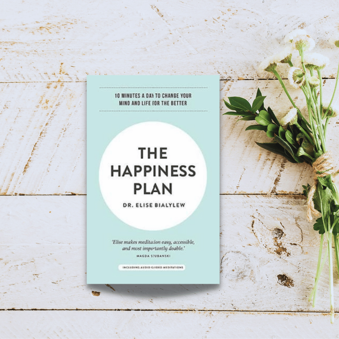 The Happiness Plan Book